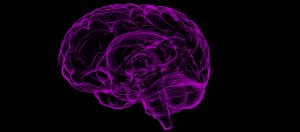 Il cervello degli adolescenti: creativo e sconsiderato