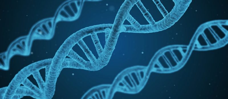 Gli effetti di un trauma si possono ereditare per via genetica?