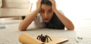 Aracnofobia, che cos’è e come trattarla