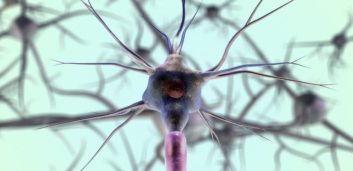 Neurotrasmettitori: cosa e quali sono