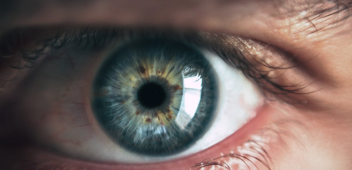 Cos’è l’arousal o la soglia di attivazione psicologica