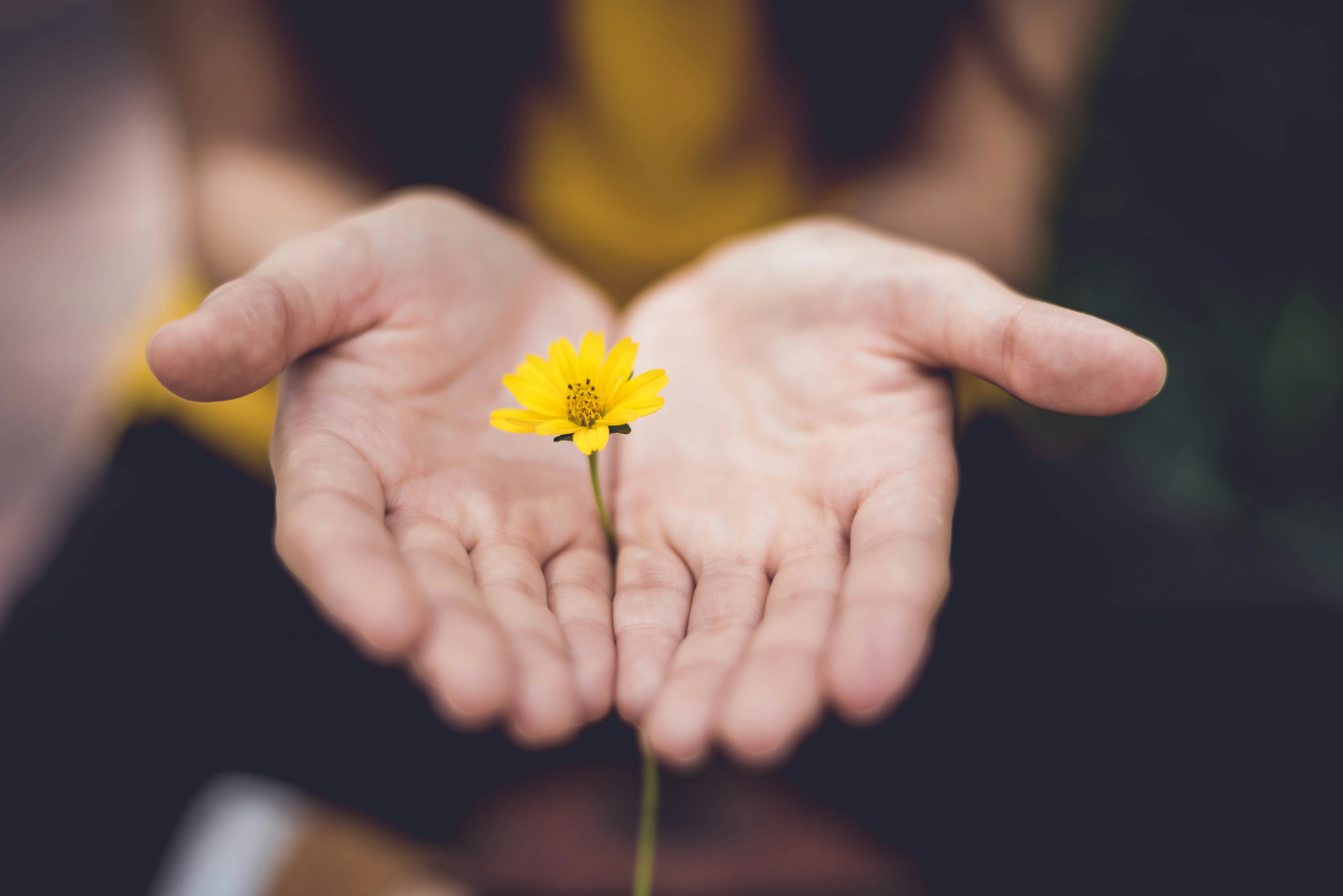 Il dono in psicologia