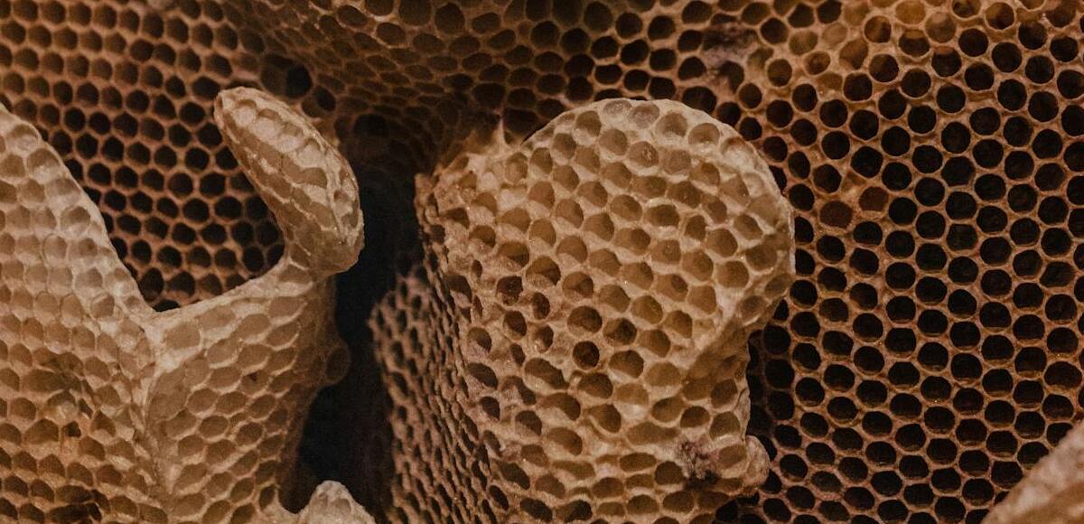 Tripofobia, cos’è e come trattare la paura dei buchi