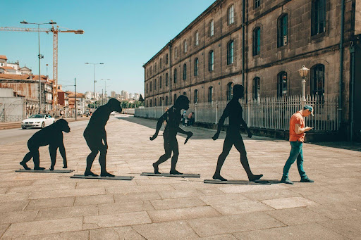 Mismatch evoluzionistico