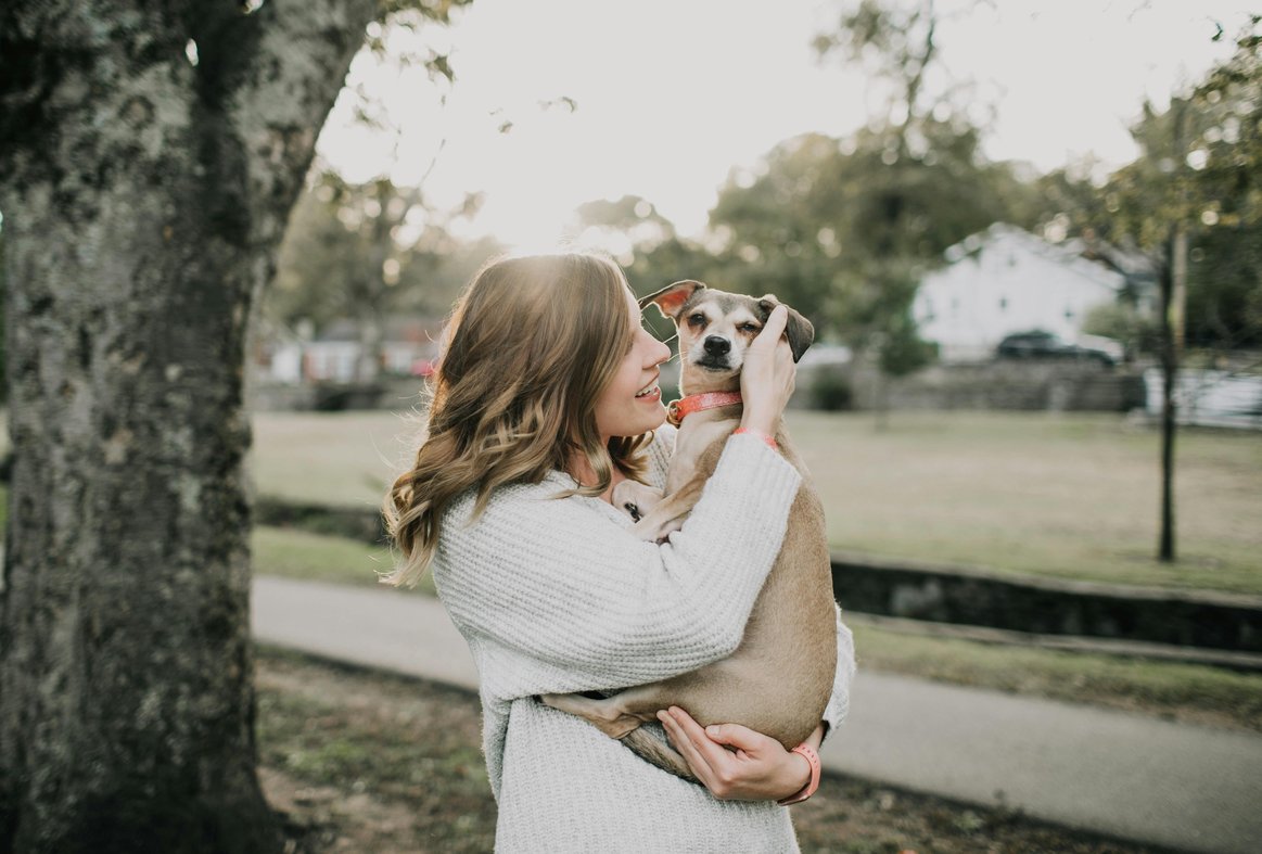 La violenza sugli animali in psicologia: perchè succede?