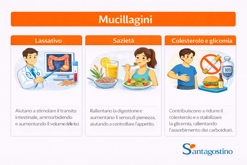 Mucillagini, cosa sono, a cosa servono, dove si trovano