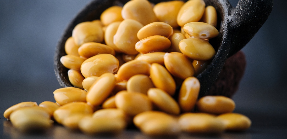 proprietà dei lupini