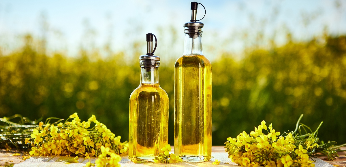 olio di colza proprieta