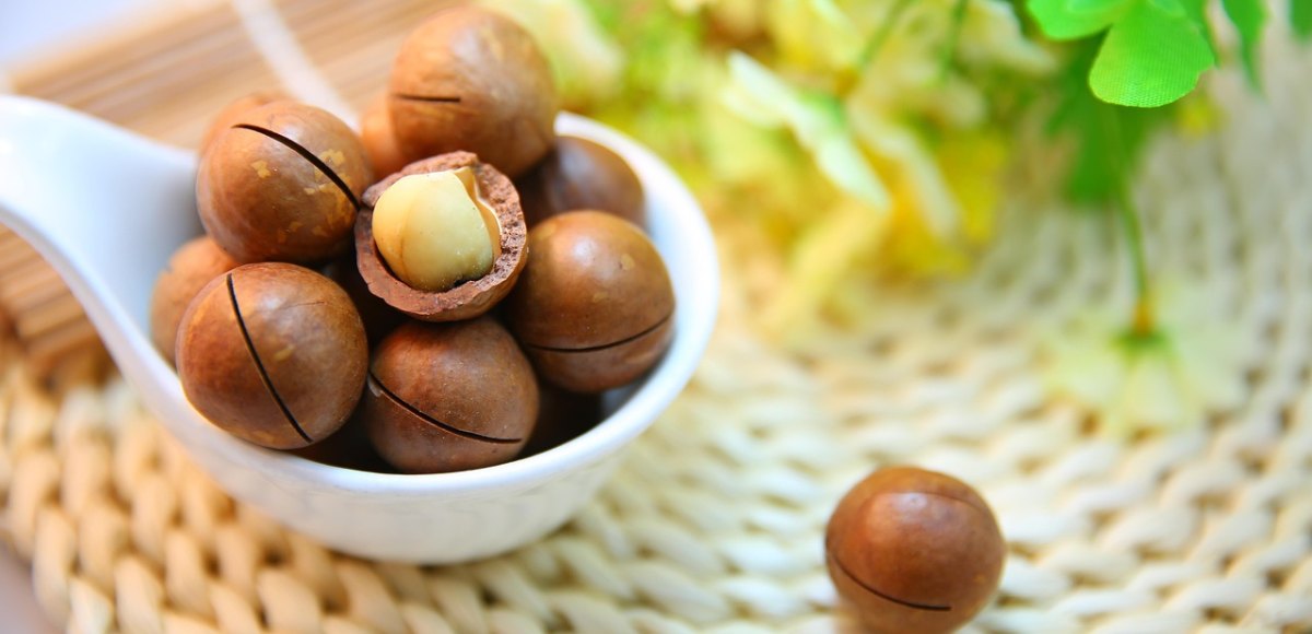 Noci di Macadamia
