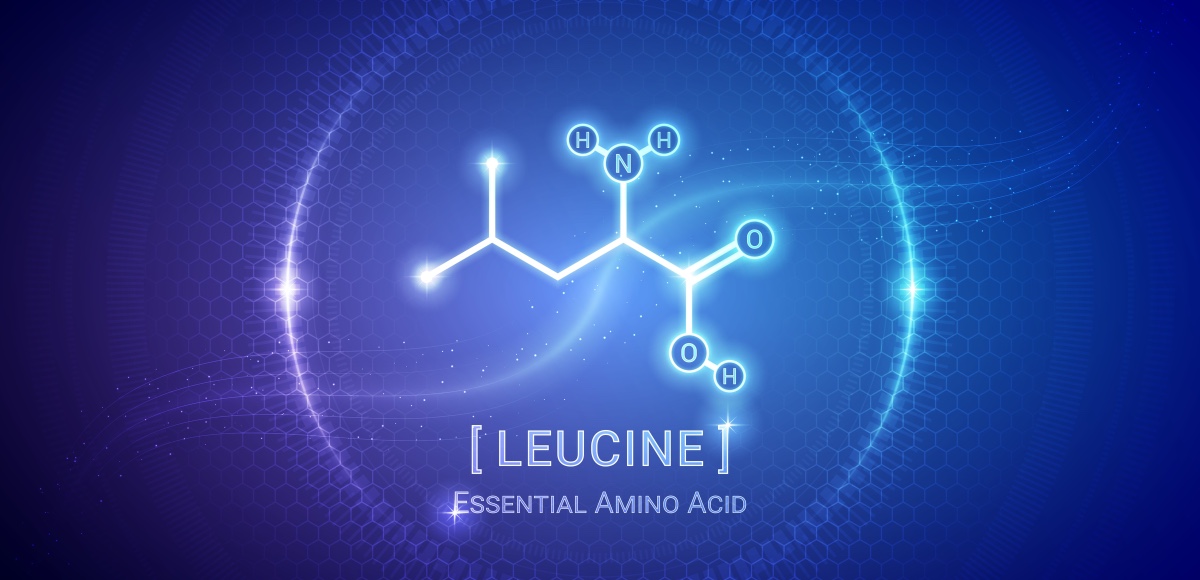leucina