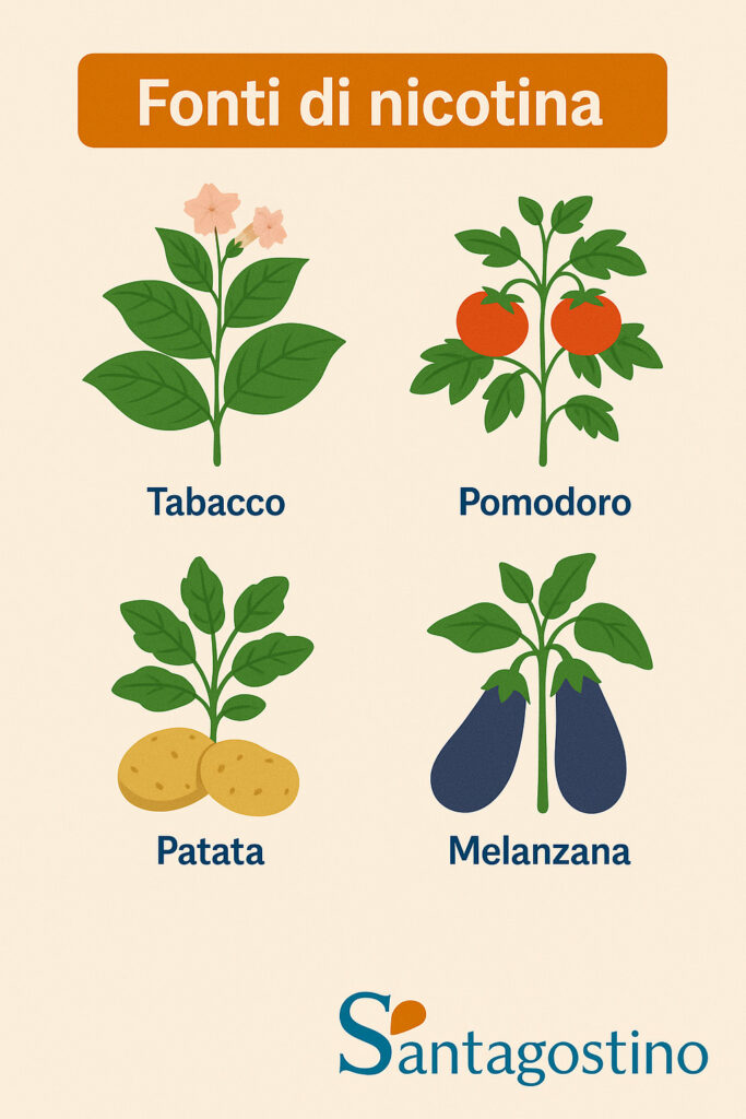 Nicotina, dove si trova, fonti vegetali