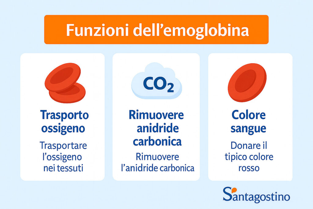 funzioni emoglobina