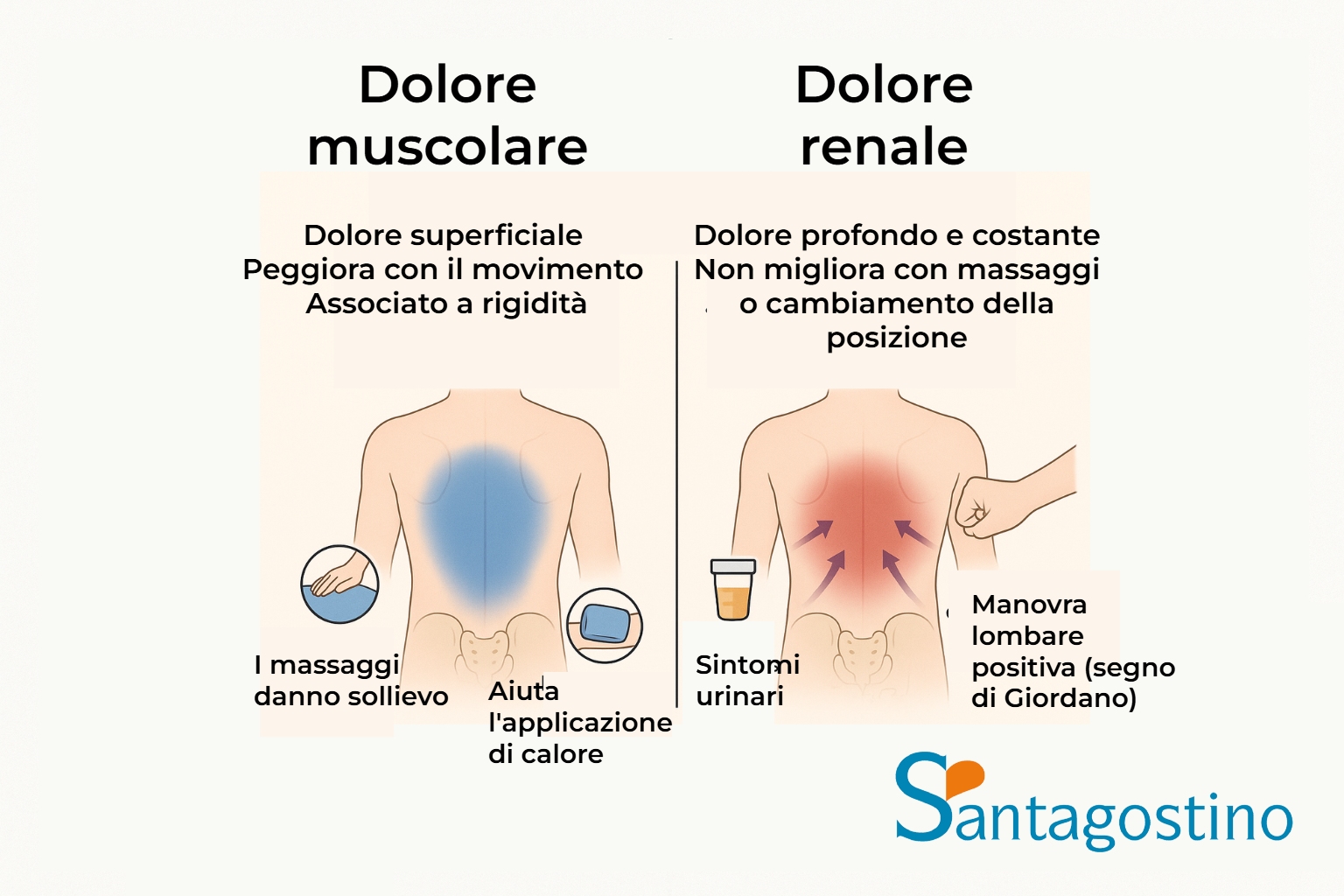 Dolore muscolare e renale