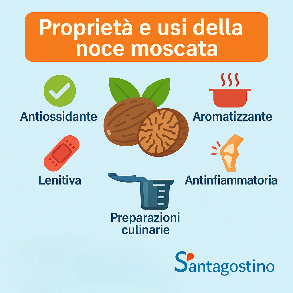 noce moscata, proprietà e usi