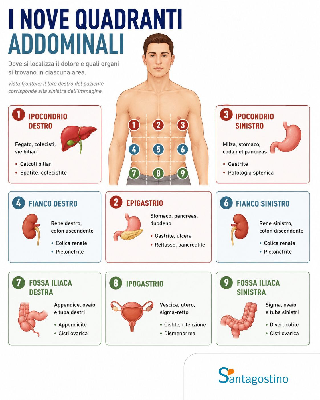 infografica dolore addominale